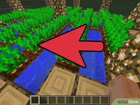 Image intitulée Get Carrots in Minecraft Step 7