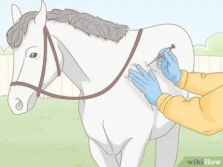 Image intitulée Give a Horse an Injection Step 2