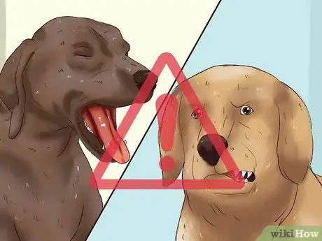Image intitulée Prevent Dog Bites Step 2