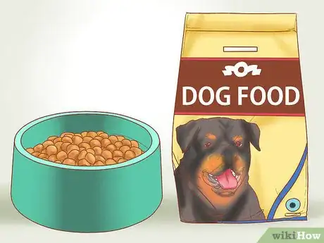 Image intitulée Take Care of Your Dog's Basic Needs Step 1