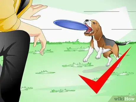 Image intitulée Treat Dog Constipation Step 5