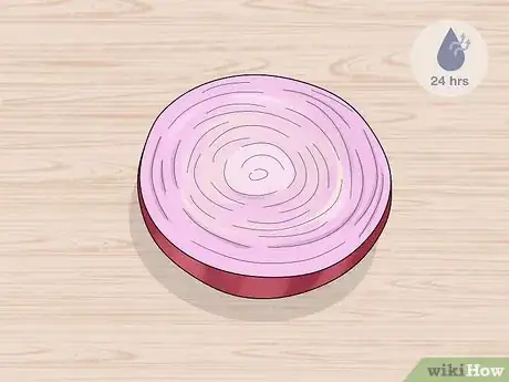 Image intitulée Grow an Onion from an Onion Step 2