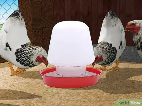 Image intitulée Keep Chickens from Eating Their Own Eggs Step 7