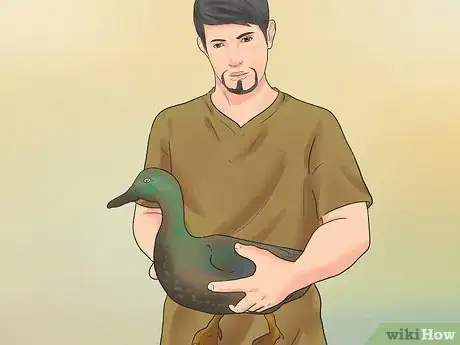 Image intitulée Breed Ducks Step 2