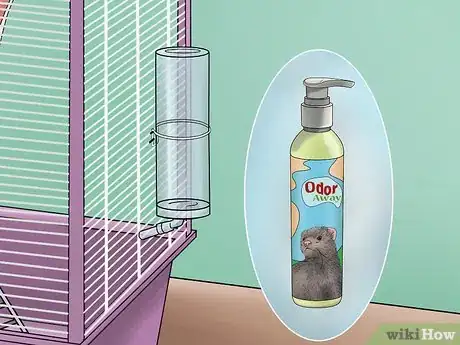 Image intitulée Care for a Ferret Step 12
