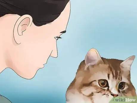 Image intitulée Clean Your Cat's Ears Step 1