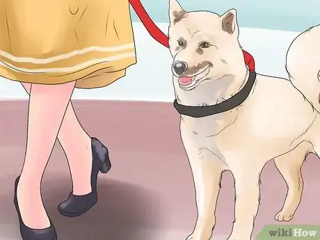 Image intitulée Bond With Your Dog Step 9