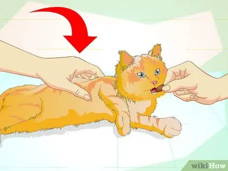 Image intitulée Properly Deal With an Aggressive Cat Step 14