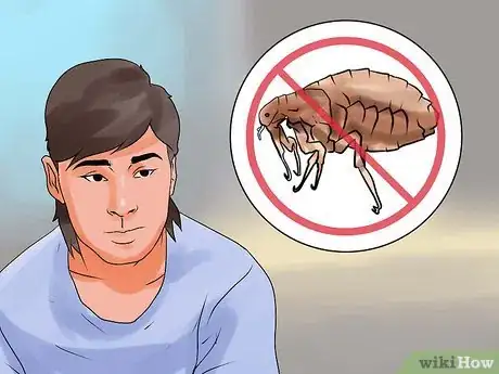 Image intitulée Rid Your Pet of Fleas Step 18