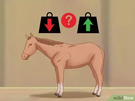 Image intitulée Feed a Horse Step 9