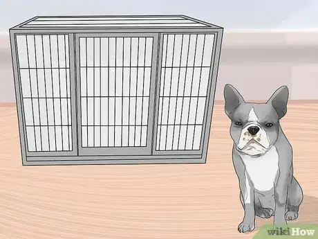 Image intitulée Train Boston Terriers Step 1