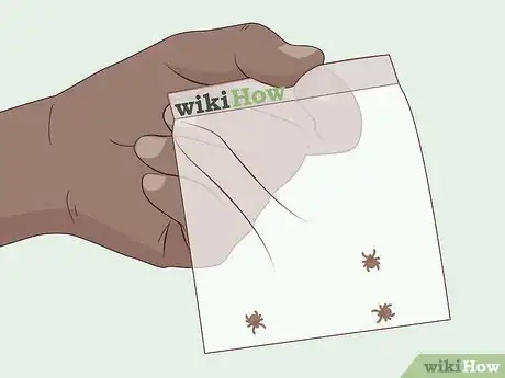 Image intitulée Get Rid of Ticks in Your Hair Step 10