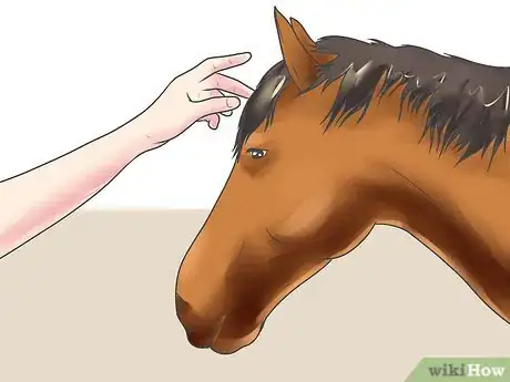 Image intitulée Name a Horse Step 8