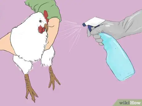 Image intitulée Get Rid of Chicken Mites Step 11