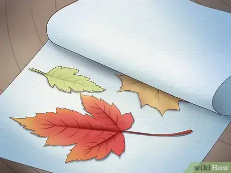 Image intitulée Preserve Fall Leaves Step 21