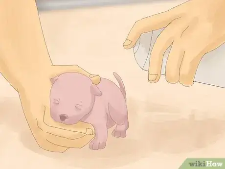 Image intitulée Care for Newborn Puppies Step 42