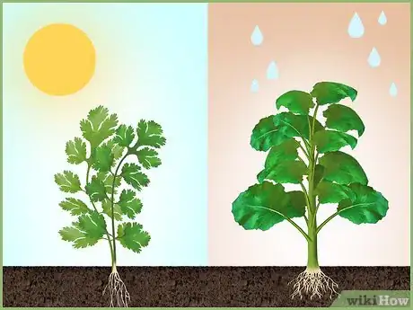 Image intitulée Plant a Seed Step 1