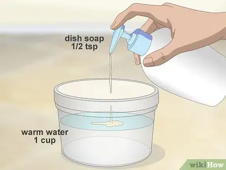 Image intitulée Remove Old Dog Urine Stains Step 1