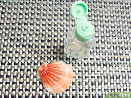 Image intitulée Clean and Polish Seashells Step 11