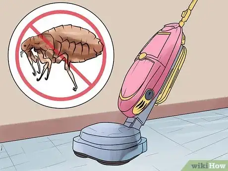 Image intitulée Rid Your Pet of Fleas Step 20
