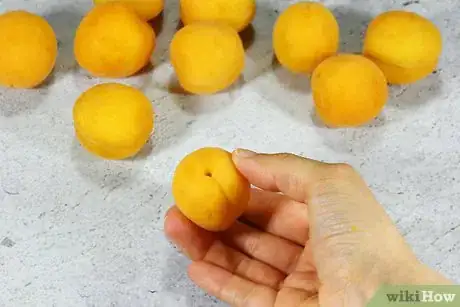 Image intitulée Freeze Apricots Step 1