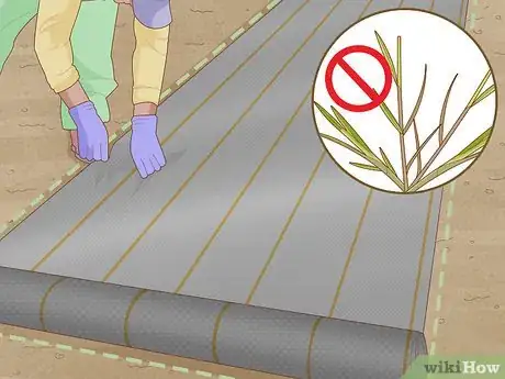 Image intitulée Build a Rock Garden with Weed Prevention Step 4