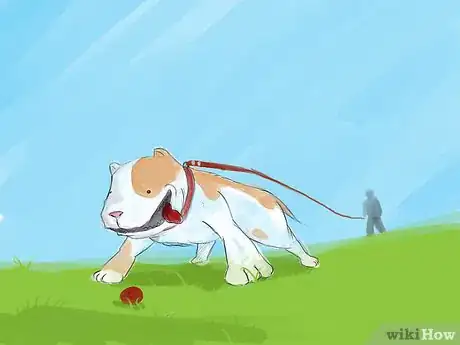 Image intitulée Teach Your Dog to Drop It Step 4