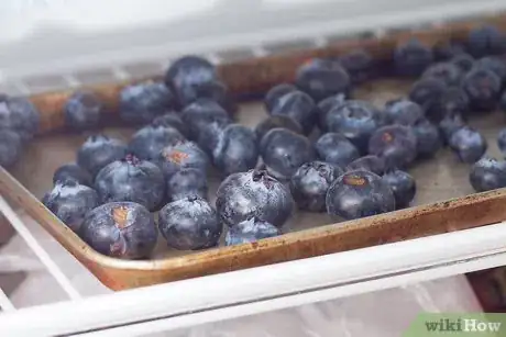 Image intitulée Freeze Blueberries Step 4