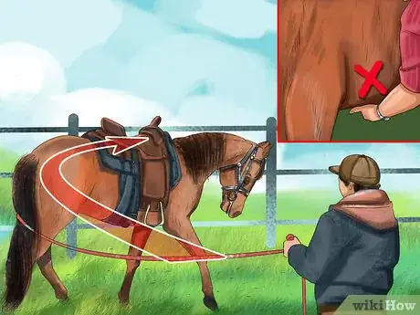 Image intitulée Bond With Your Horse Using Natural Horsemanship Step 10