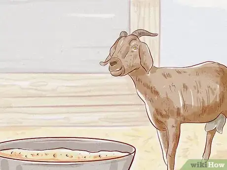 Image intitulée Care for a Goat Step 8