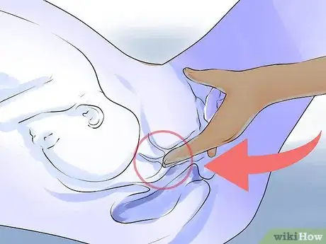 Image intitulée Check a Cervix for Dilation Step 6