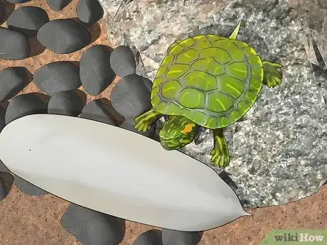 Image intitulée Look After a Turtle Step 10