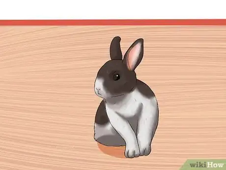 Image intitulée Care for a House Rabbit Step 1
