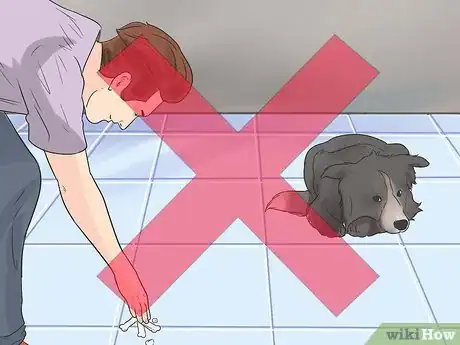 Image intitulée Teach a Dog to Crawl Step 3