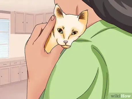 Image intitulée Get a Cat to Be Your Friend Step 15