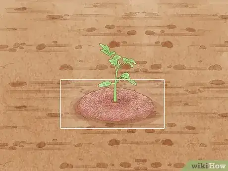 Image intitulée Stake Tomato Plants Step 11