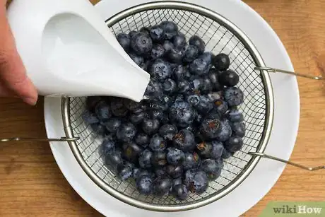 Image intitulée Freeze Blueberries Step 2