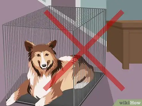 Image intitulée Help a Dog with Separation Anxiety Step 13