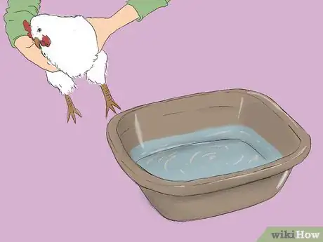 Image intitulée Get Rid of Chicken Mites Step 22