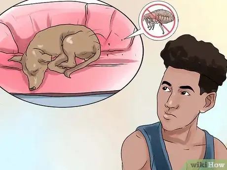 Image intitulée Rid Your Pet of Fleas Step 22