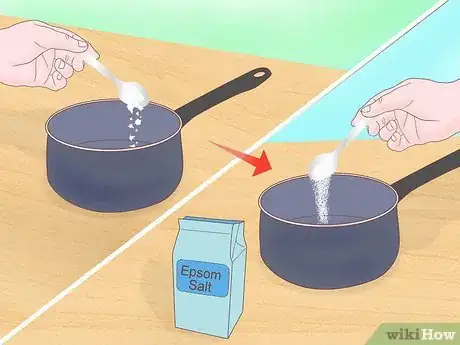 Image intitulée Fertilize Soil With Eggshells Step 8