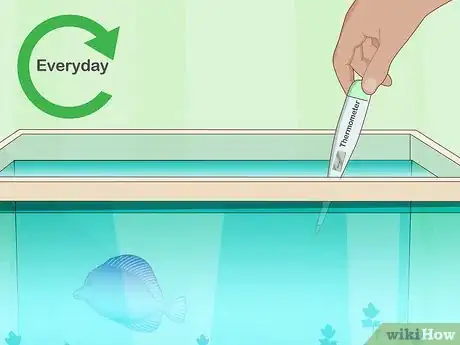 Image intitulée Clean a Fish Tank Step 19