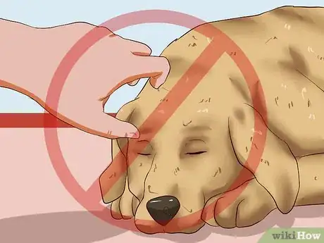 Image intitulée Prevent Dog Bites Step 9