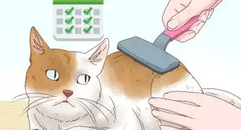 aider un chat à vomir une boule de poils