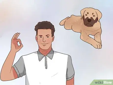Image intitulée Buy a Puppy Step 10