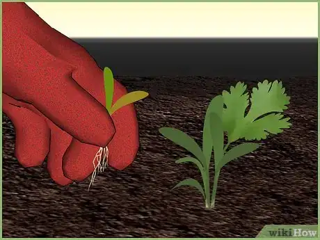 Image intitulée Plant a Seed Step 8