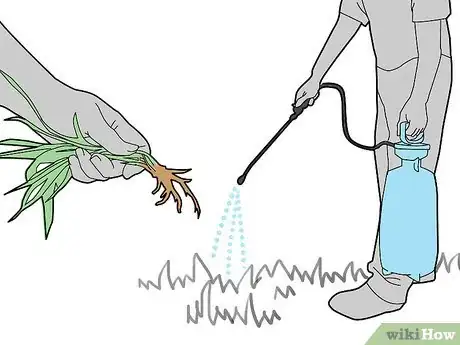 Image intitulée Water Your Lawn Efficiently Step 7