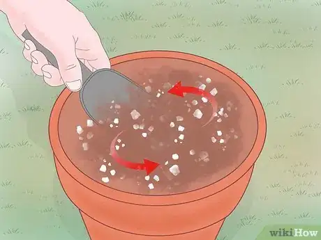 Image intitulée Fertilize Soil With Eggshells Step 5