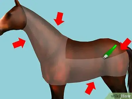 Image intitulée Clip Your Horse Step 4