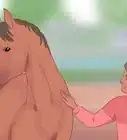 comprendre la communication avec un cheval